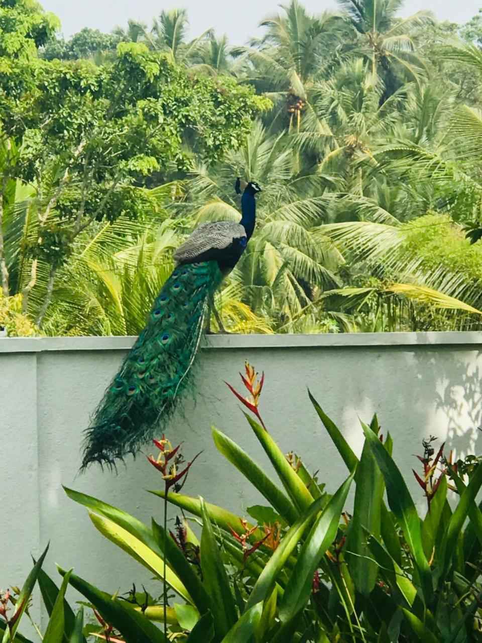 Villa Green White ウナワトゥナ エクステリア 写真